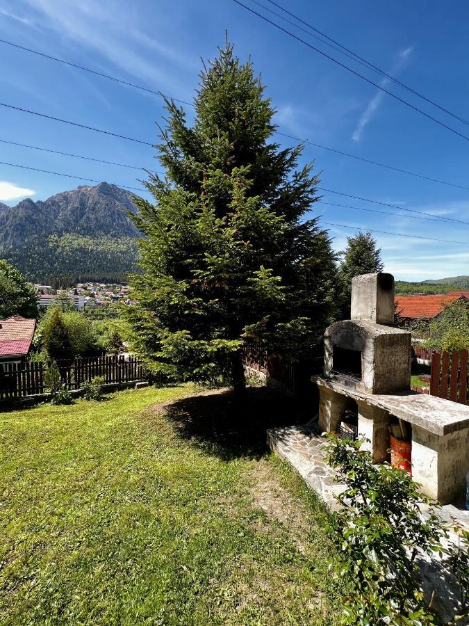 The Bear House 2 Villa Buşteni Exterior foto
