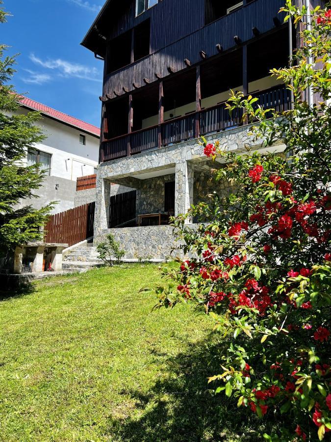 The Bear House 2 Villa Buşteni Exterior foto